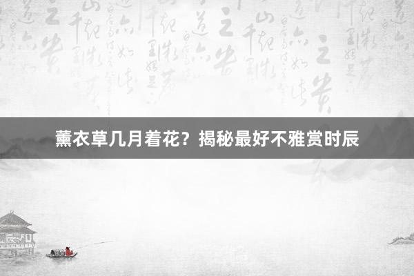 薰衣草几月着花?揭秘最好不雅赏时辰