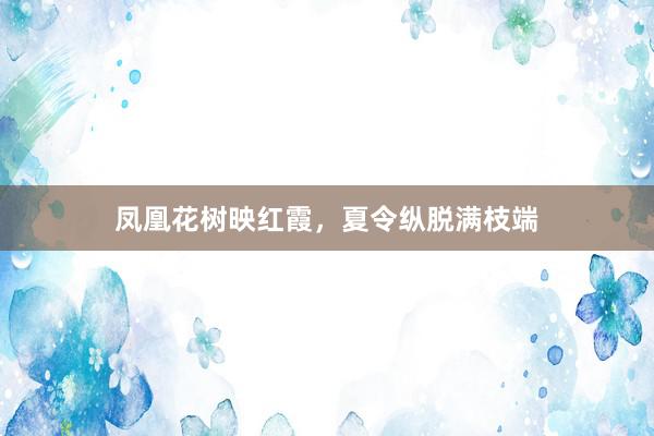 凤凰花树映红霞,夏令纵脱满枝端