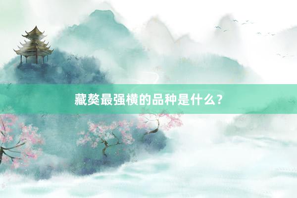 藏獒最强横的品种是什么？