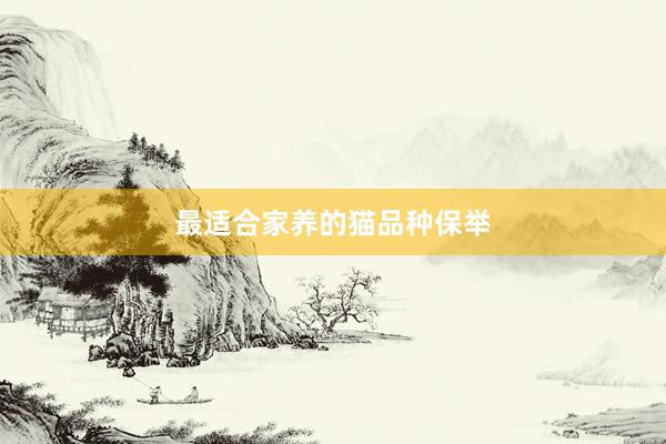 最适合家养的猫品种保举